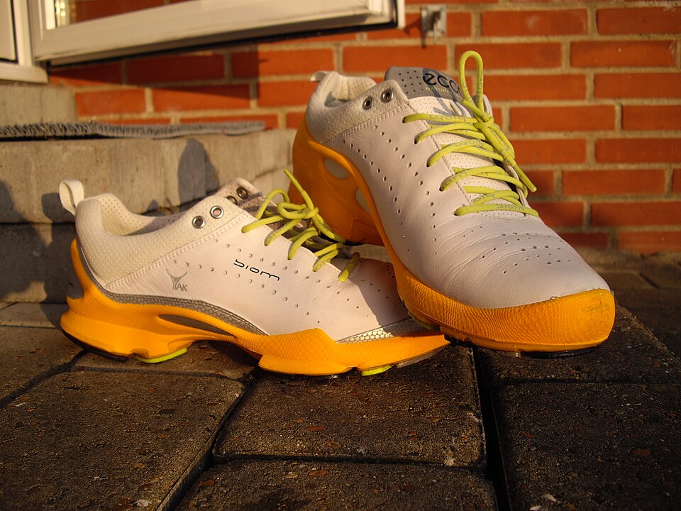 ECCO Biom running shoes on eBay