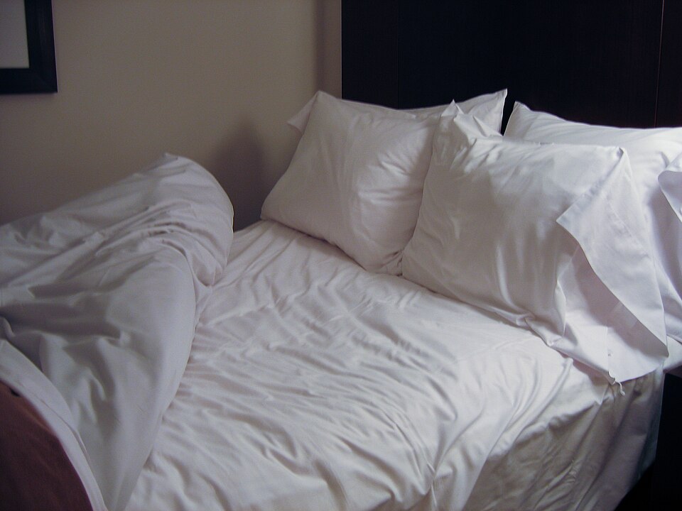 Egyptian cotton sheets on eBay
